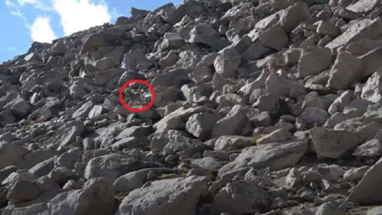 Optical Illusion: Can You Spot A Goat Among Rocks In The Image In 10 ...