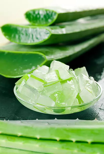 Aloe vera