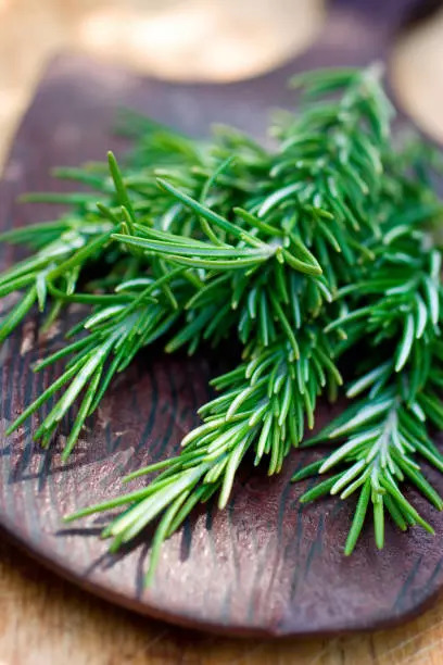 Rosemary