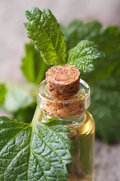 Coconut oil peppermint mask