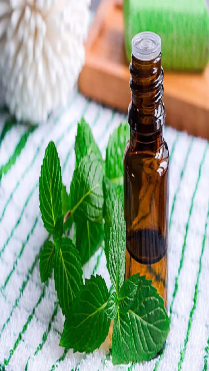 Peppermint Essential Oil