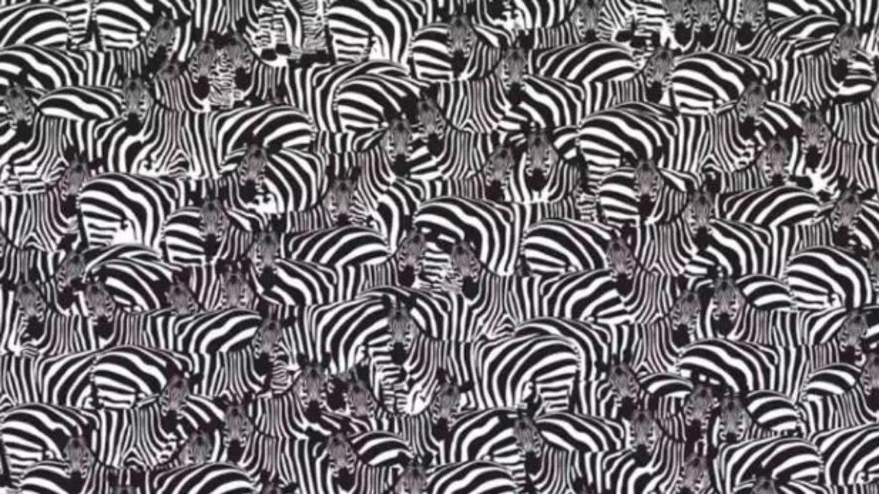 Piano-Hidden-Optical-Illusion