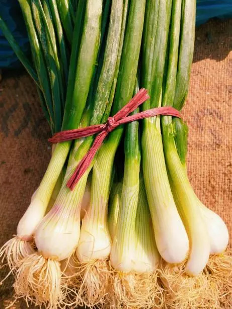 Green onions