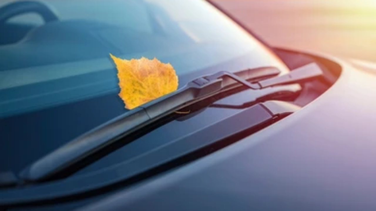 Essential Tips for Maintaining Your Car's Windshield Wipers during the