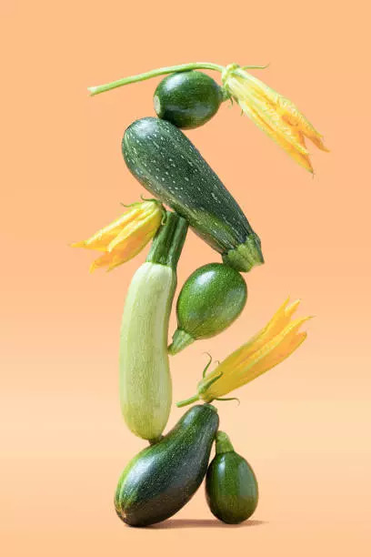 Summer squash