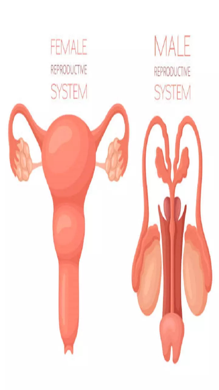 Swelling in the testicles