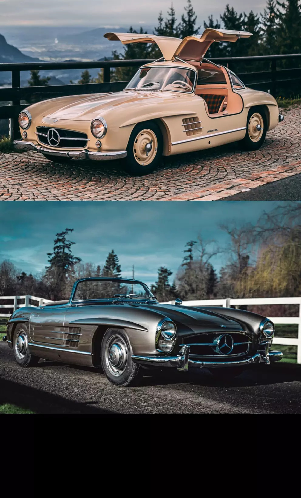 1956-Mercedes-Benz-300-SL-Alloy