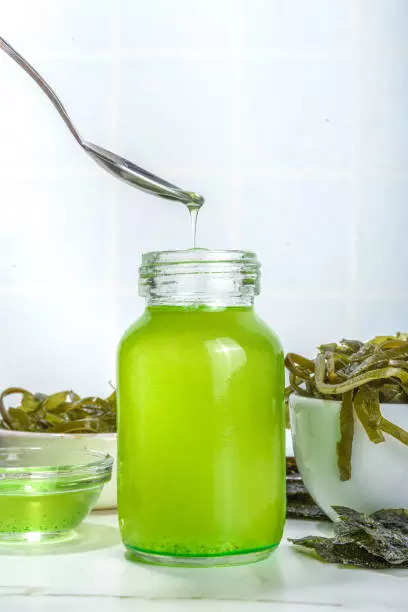 Algae oil