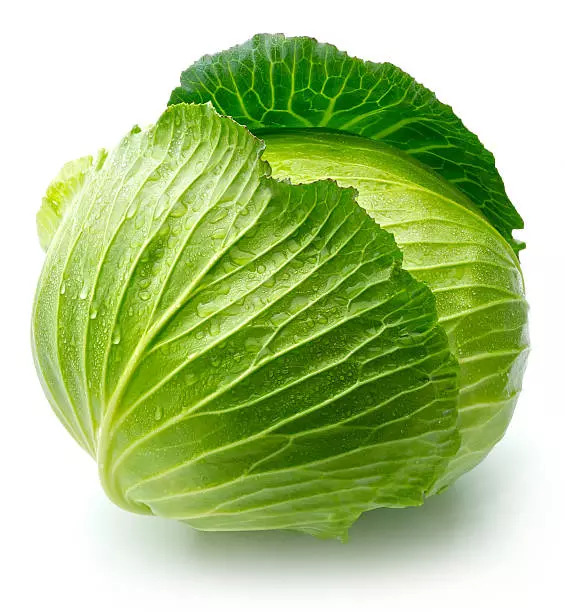 Cabbage