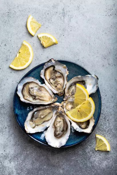 Oysters