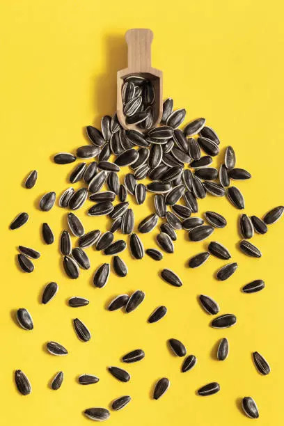 Sunflower seeds