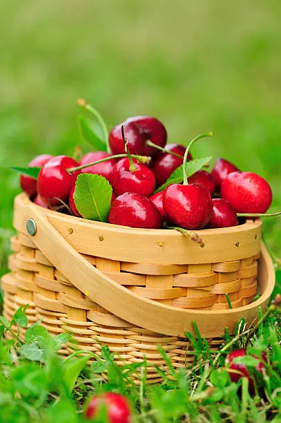 Cherries