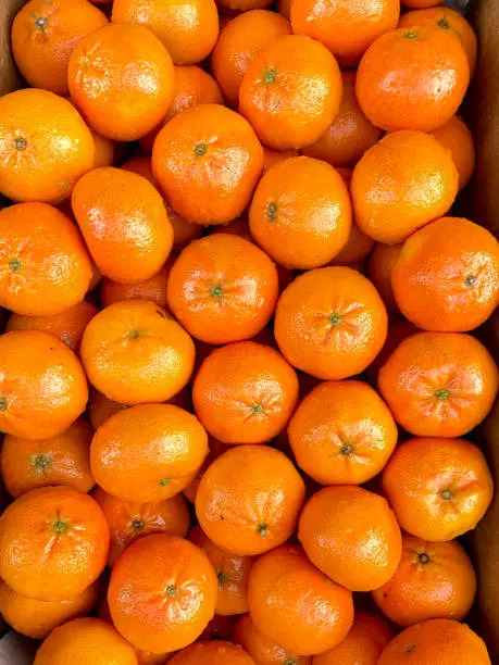 Tangerines