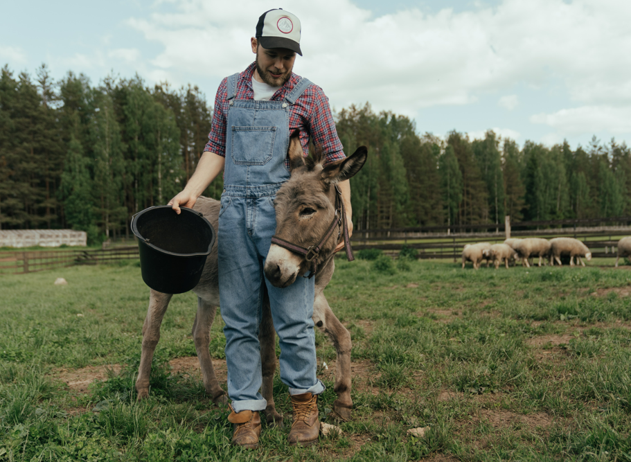 Pets are indeed a man39s best friend for life Pic Credit Pexels