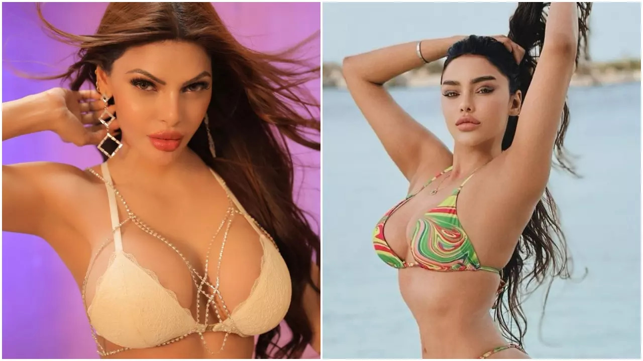 Meet Hottest Female Contestants Of Bigg Boss