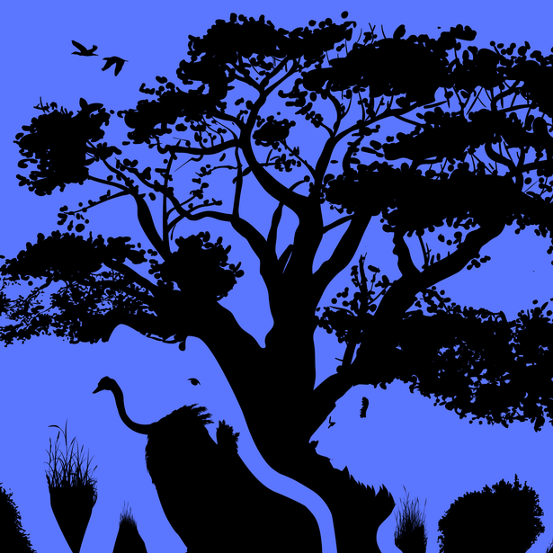 Animal visual data 4