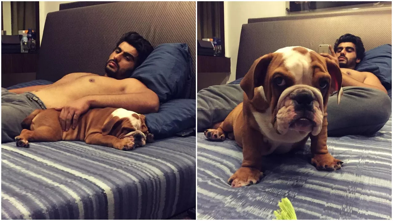 I Miss You Mera Bacha: Arjun Kapoor Pens Emotional Note On Demise Of His  Pet Dog Maximus | Hindi News, Times Now