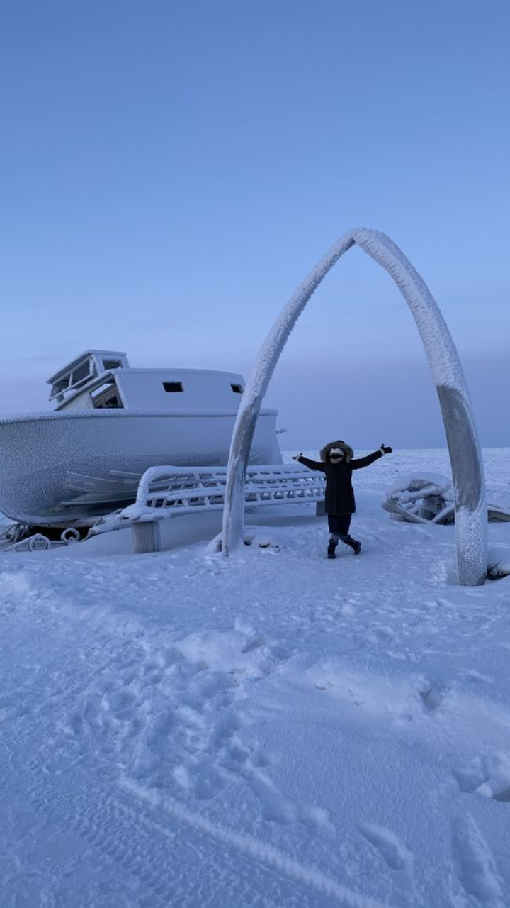 The Arctic Circle