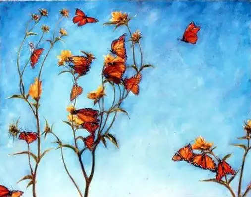 Optical Illusion Test Butterflies Face Sky Or Flowers What You See First Reveals How You 