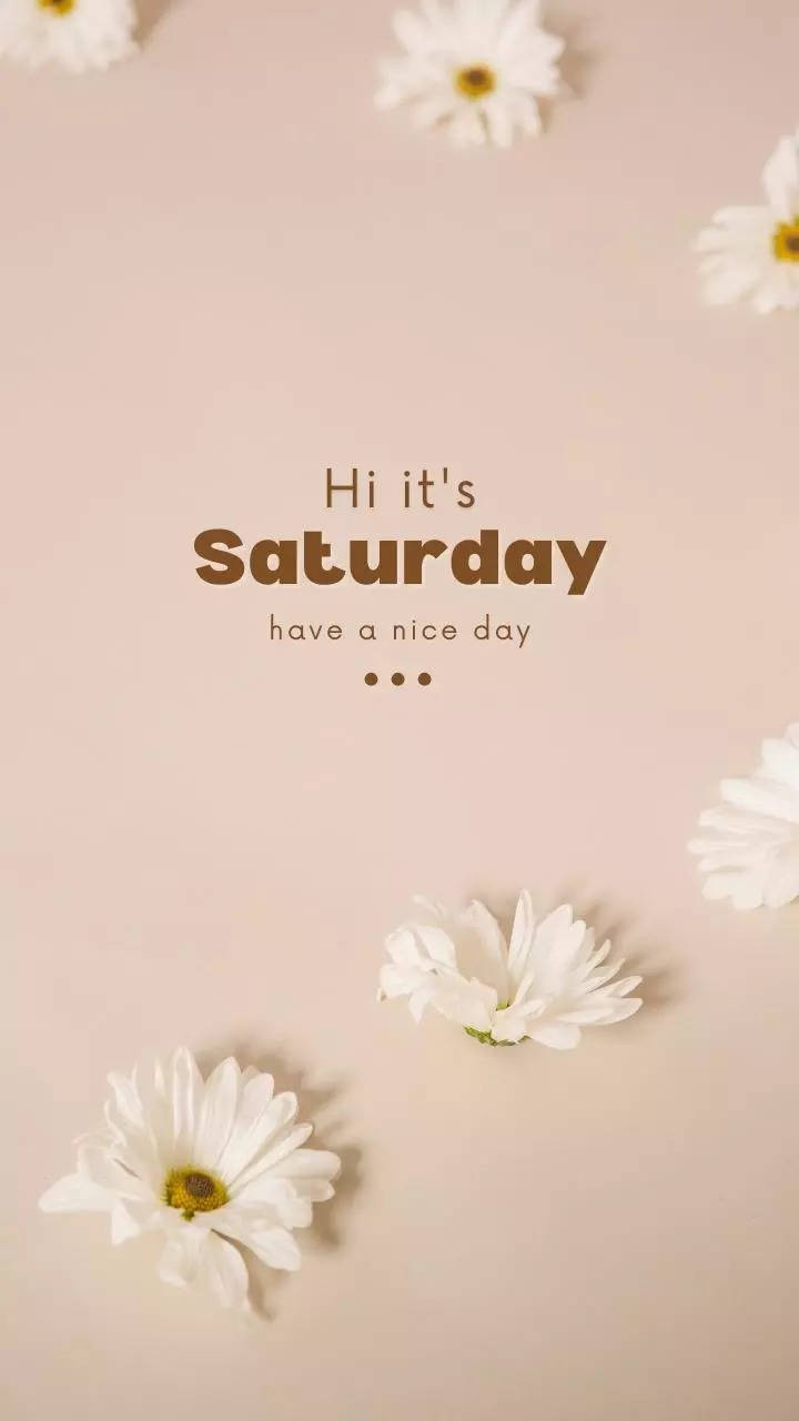 Saturday retro word typography on a pink background | free image by  rawpixel.com / nook | Pink background, Typography, Pink saturday