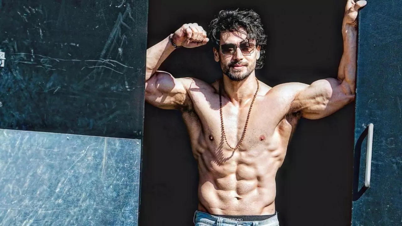 10 Tiger Shroff Shirtless Pics To Make Your Tuesday Tantalising