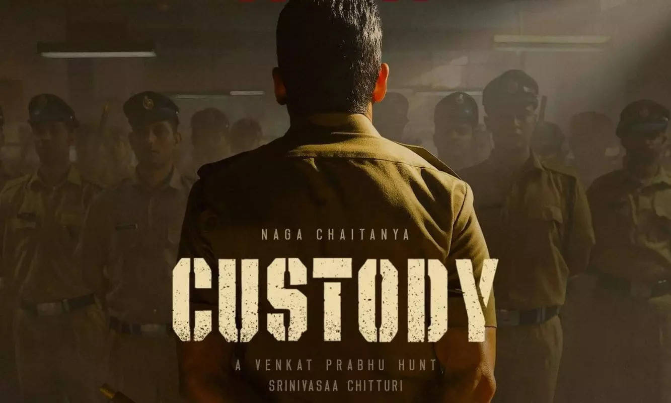 custody movie review imdb rating