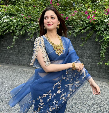 Tamannaah Bhatia In Sheer Blue Saree