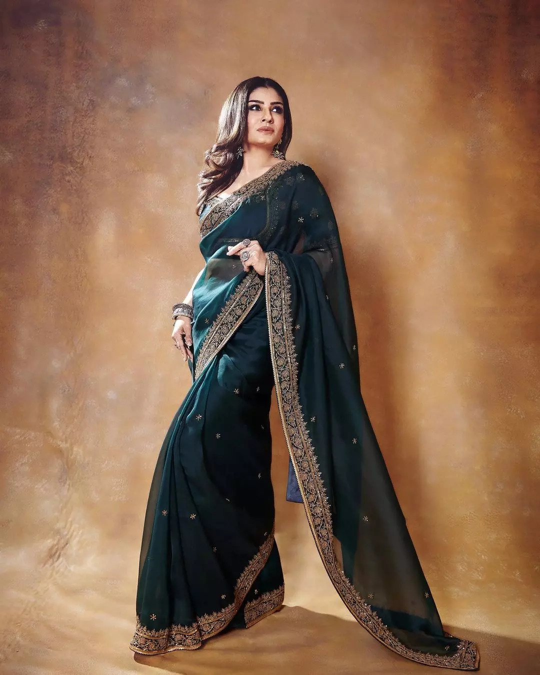 Saree Elegance