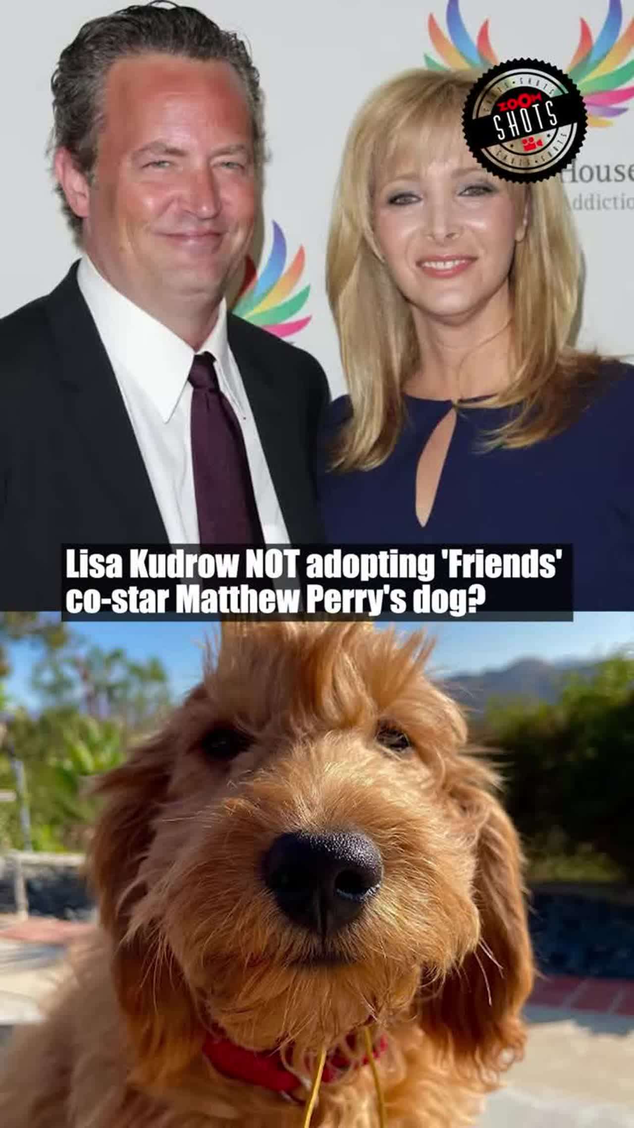 Lisa Kudrow “Wants To Adopt Matthew Perry's Dog” As She Shares Sad