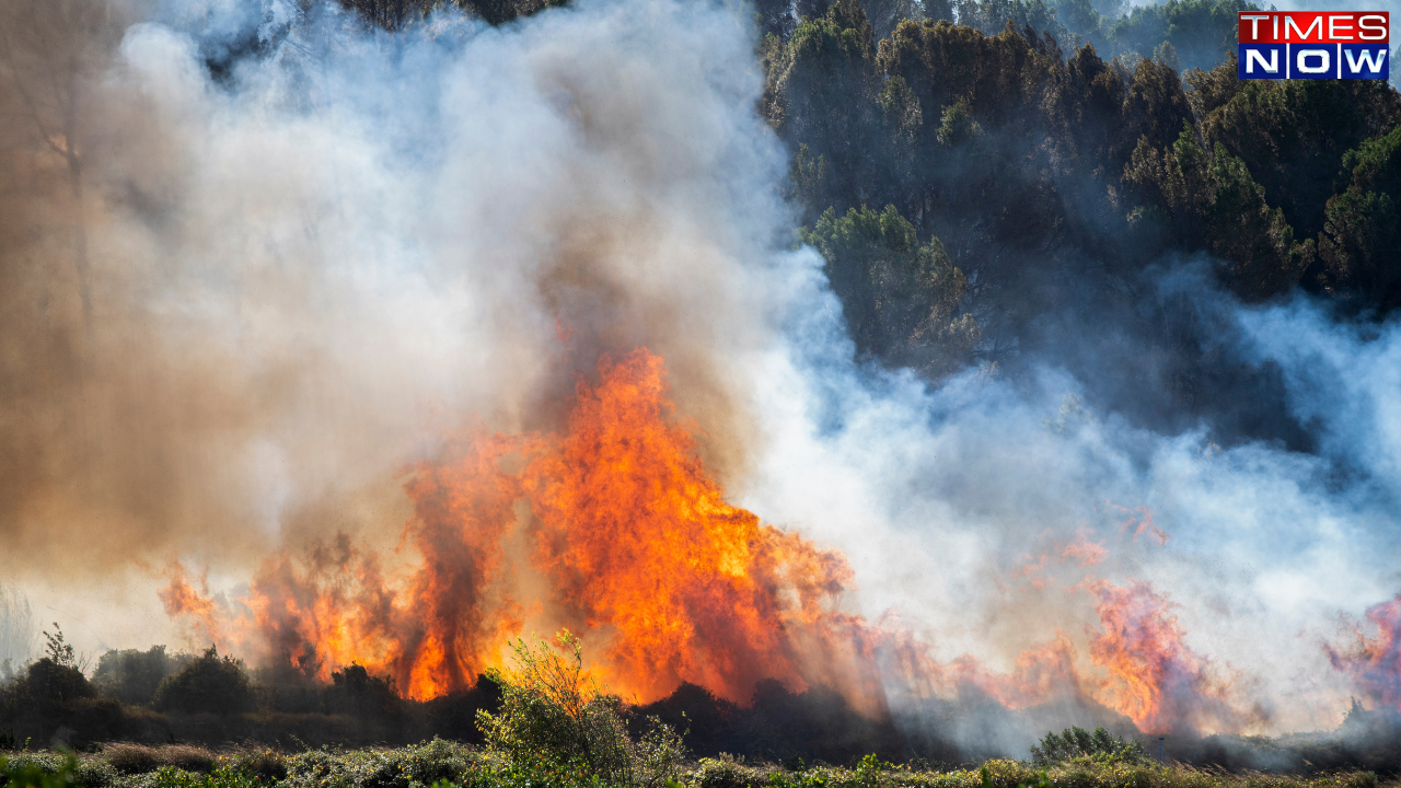 Incendio forestal en España