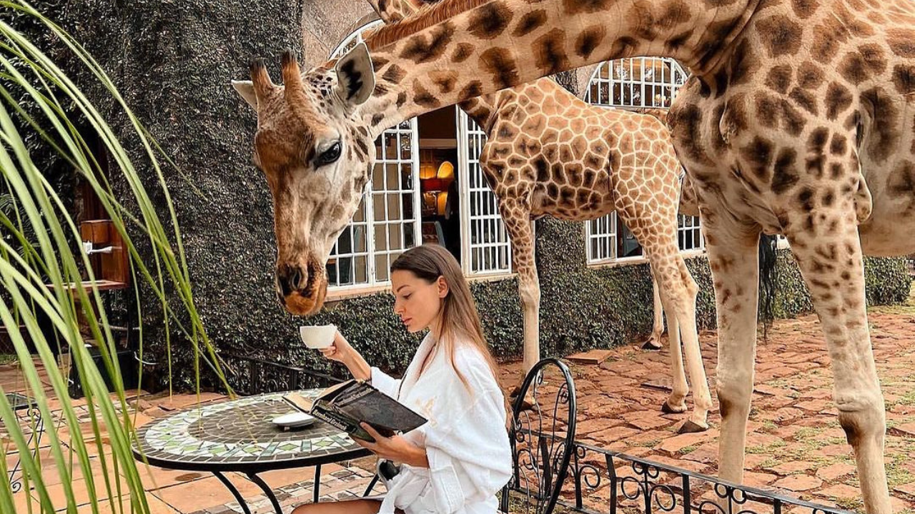 Giraffe Manor Kenya 