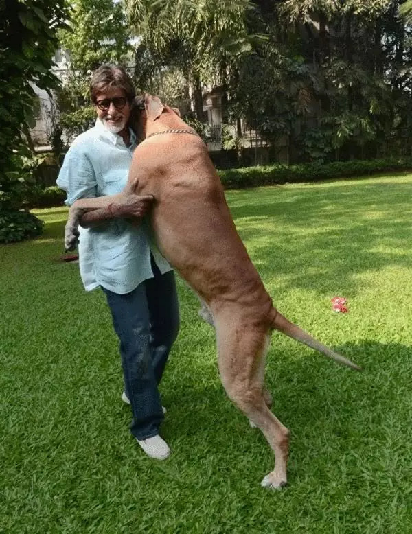 Amitabh With His Dog