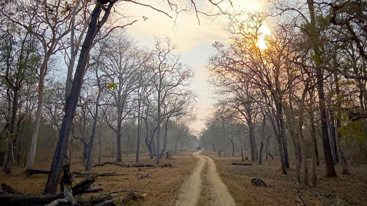 Kaav Safari Lodge Kabini