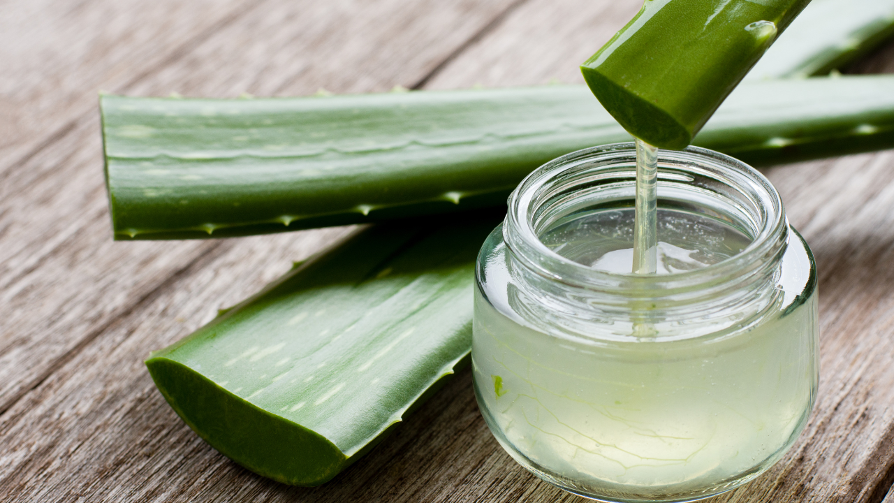 Mayan Aloe Vera - Central America