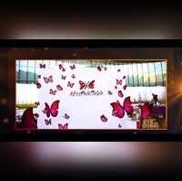 Beauty Blossoms in Dubai Exploring the Rise of Local Brands  Global Influence