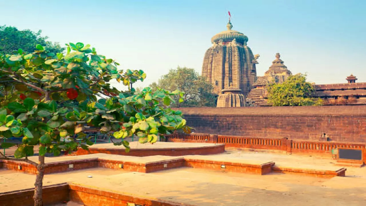 Lingaraja Temple Bhubaneshwar Odisha