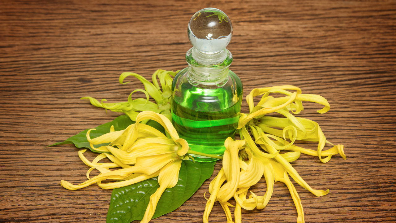 Ylang-ylang Oil