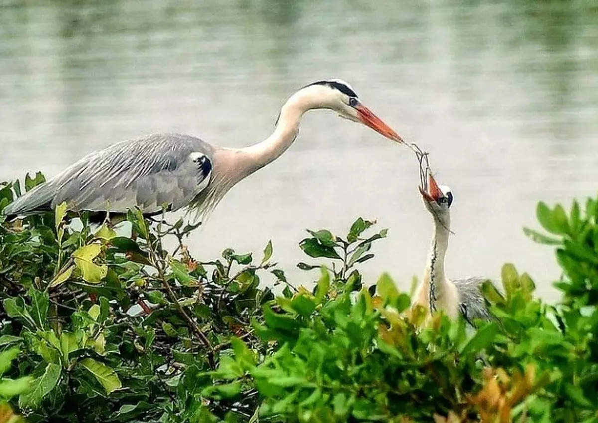 வாரஇறுதி சுற்றுலா