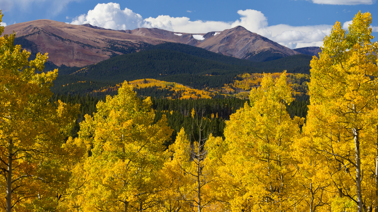 Aspen