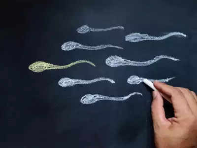 sperm