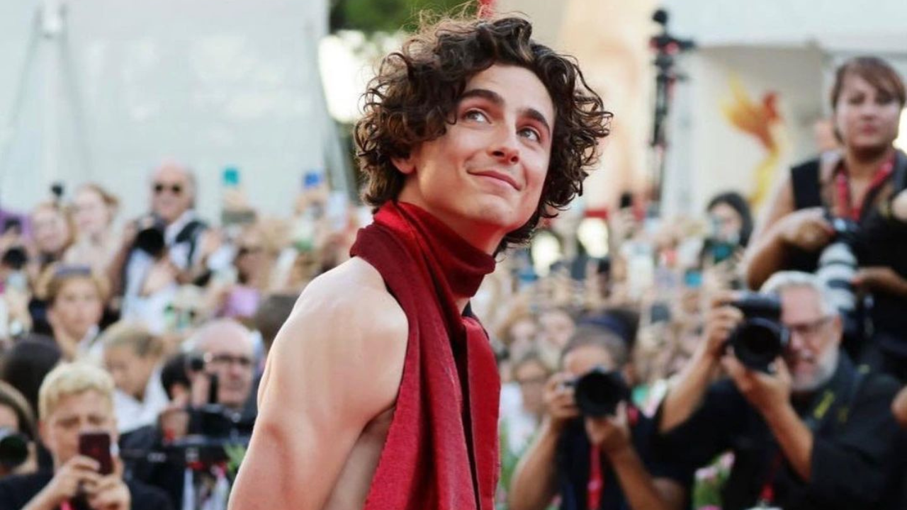 From Indie Darling To Hollywood Heartthrob: Timothée Chalamet's