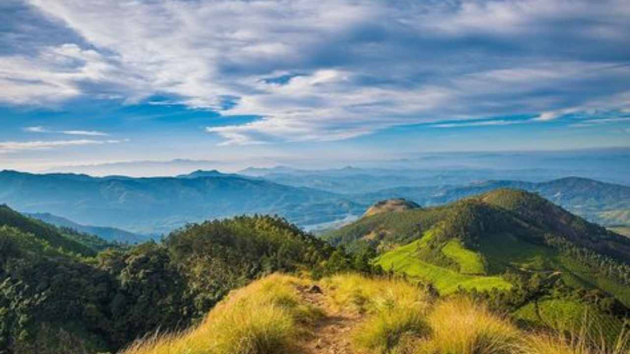 Kolukkumalai Estate Idukki