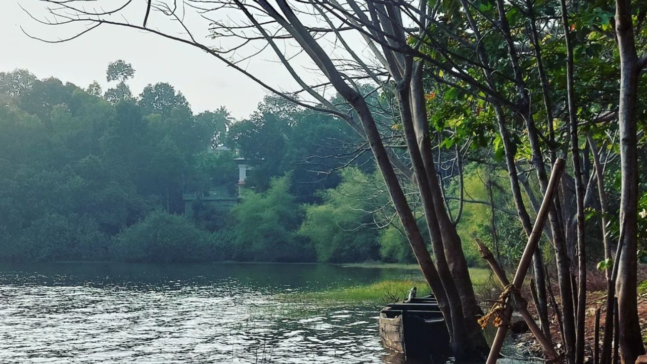 Ashtamudi Lake Kollam