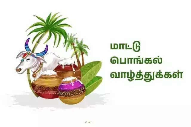 பொங்கல் வாழ்த்துக்கள் 