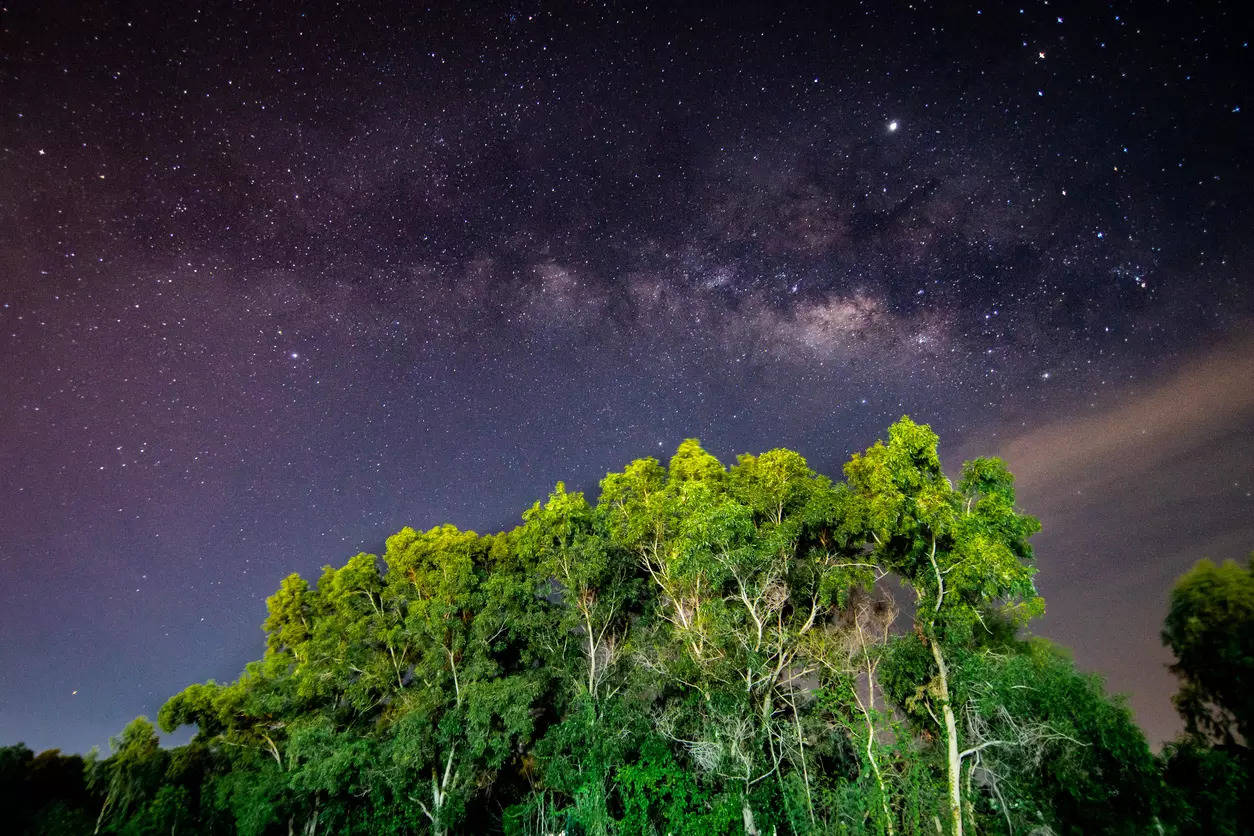 Pench Tiger Reserve Is India's First Dark Sky Park | Travel News News ...