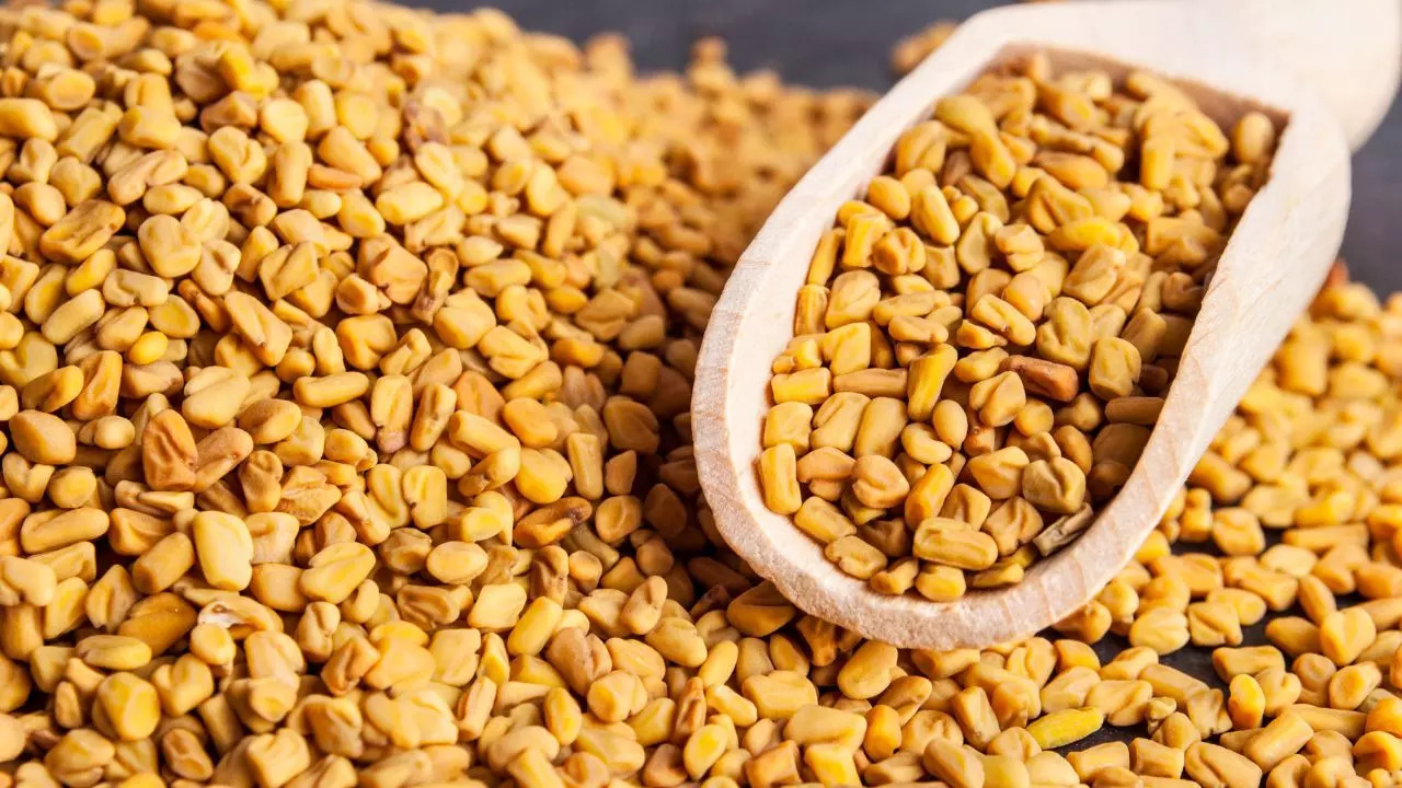 Fenugreek