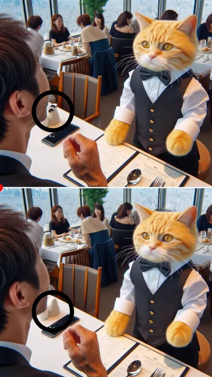 Puzzle Find The Difference Puzzle Viral News Times Now Puzzle Find The Difference Puzzle Viral News Times Now