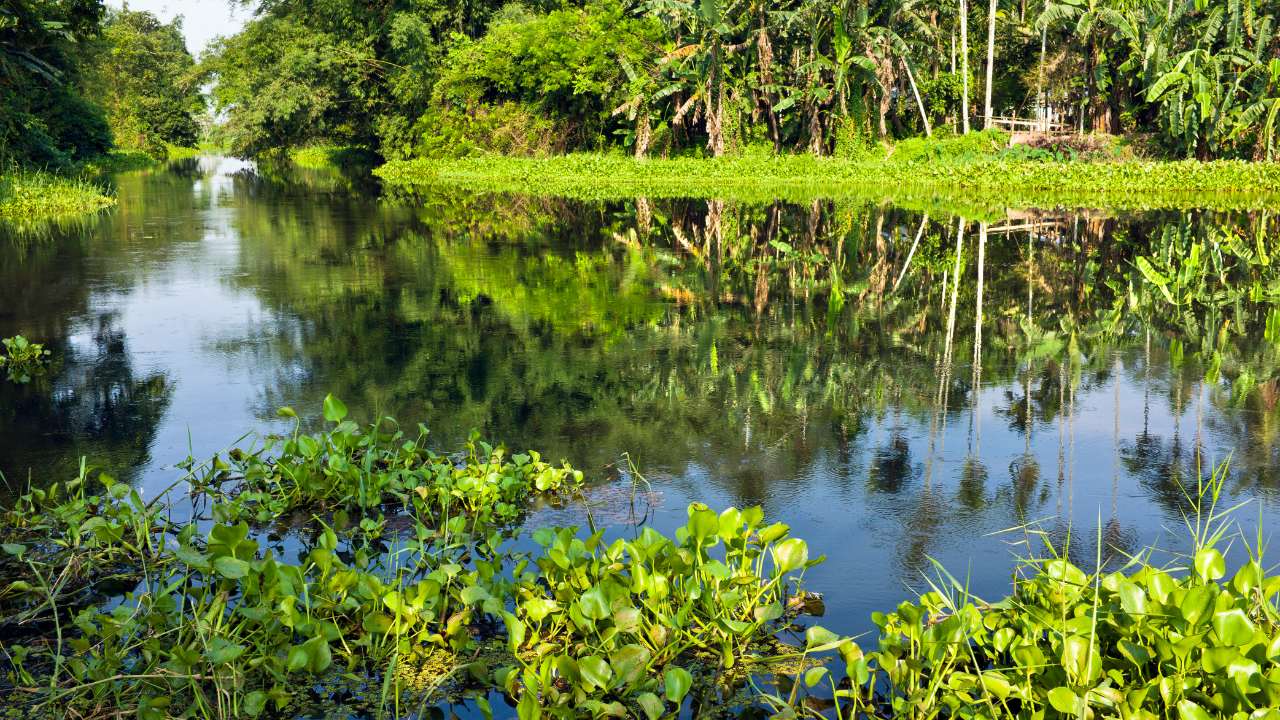 Majuli Island Assam