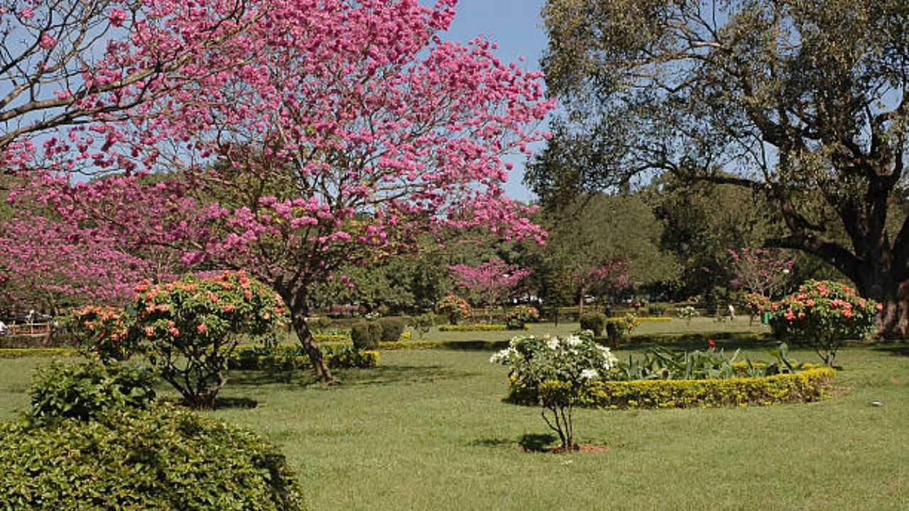 Bangalore