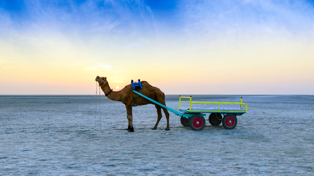 Rann of Kutch